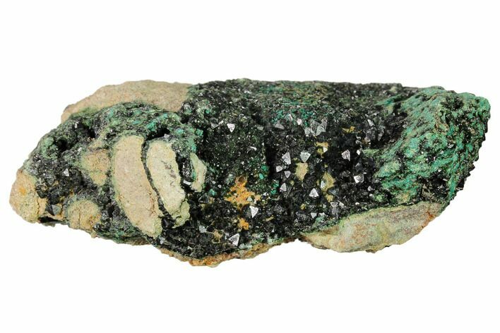 Deep-Green Libethenite Crystal Cluster #169829